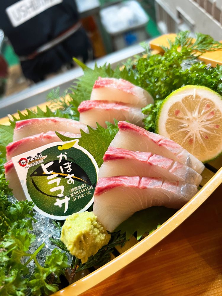 奶酪鸡排、豆腐披萨、新鲜生鱼片