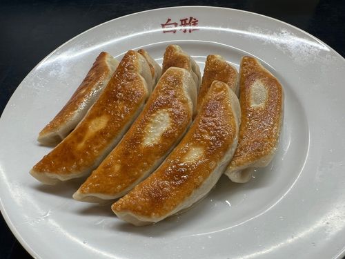 野菜たっぷりでもちもち食感!今治で60年以上愛され続ける餃子の名店「白雅」