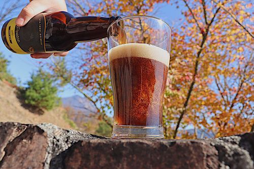 アメリカ仕込みの本格クラフトビールブルワリー「Monkey Mountain」